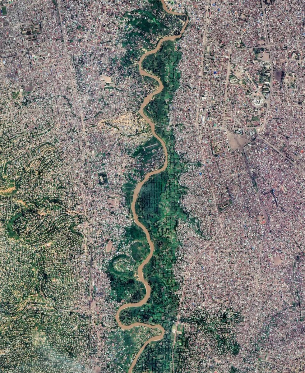 NestorSiurana's tweet image. La vista satelital de Kinshasa es una auténtica locura.

La capital de la RD Congo, una de las ciudades más grandes de África, tiene una población de 18 millones de habitantes, y no para de crecer.

La megaciudad se fusiona con la selva generando estas espectaculares imágenes.…