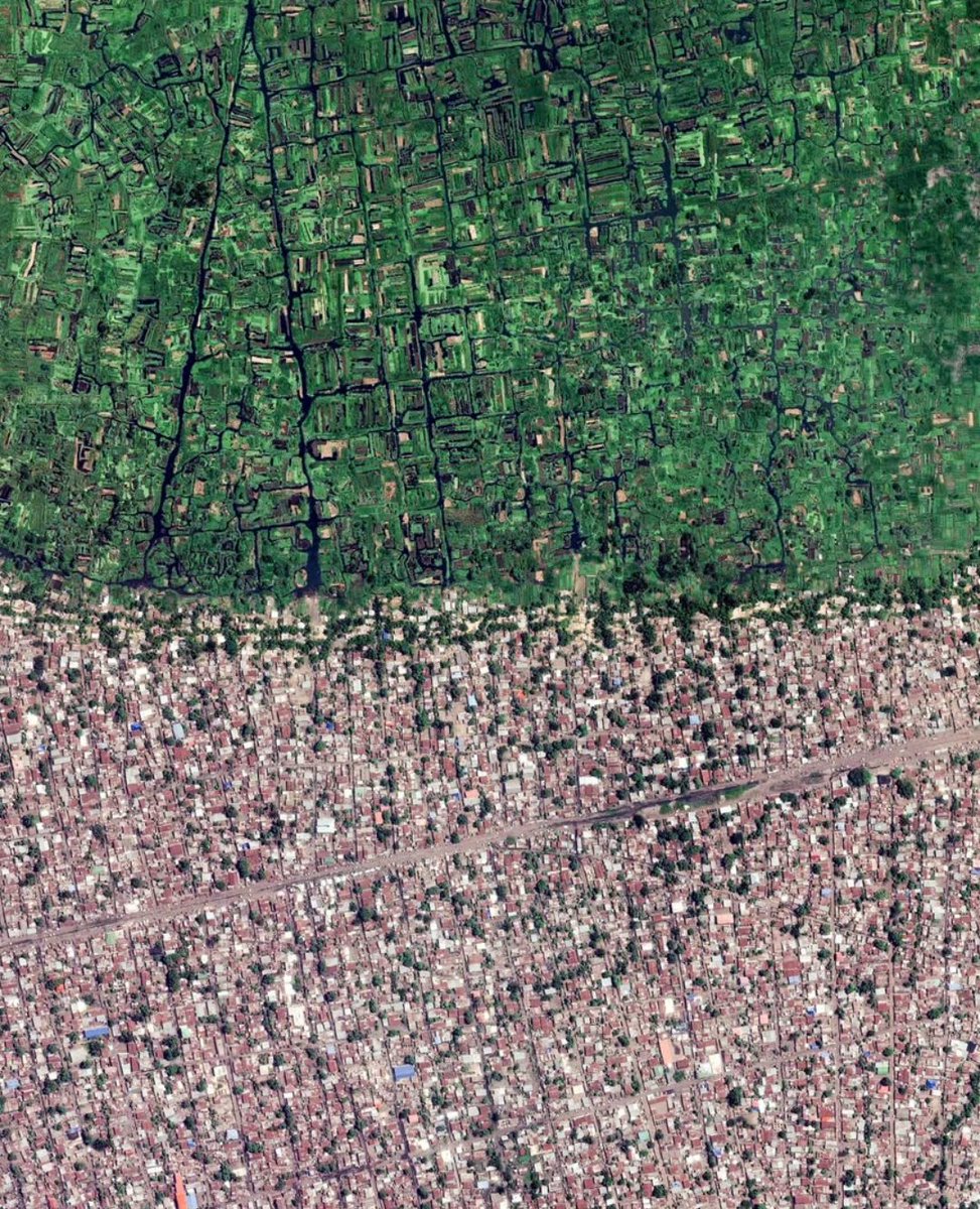 NestorSiurana's tweet image. La vista satelital de Kinshasa es una auténtica locura.

La capital de la RD Congo, una de las ciudades más grandes de África, tiene una población de 18 millones de habitantes, y no para de crecer.

La megaciudad se fusiona con la selva generando estas espectaculares imágenes.…