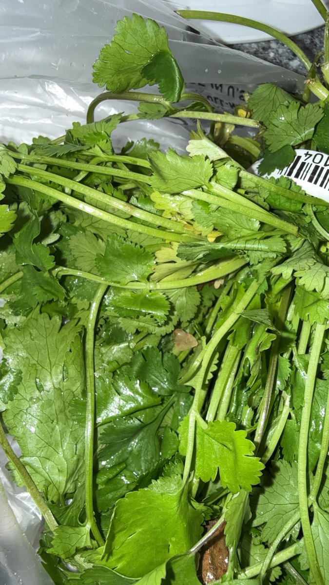 emroav's tweet photo. @AmazonFresh WTF did I just find in my cilantro https://t.co/6CvMM9tXAK