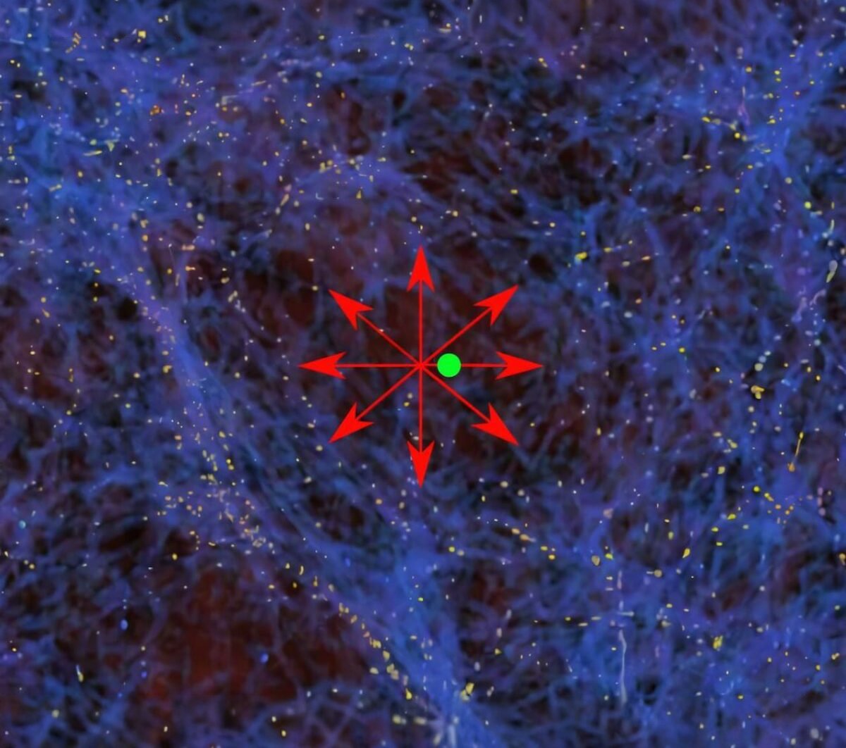 MAstronomers's tweet image. 🚨 Earth may be trapped inside a giant void in space, scientists say

A bold new analysis of the universe’s large-scale structure suggests that Earth — and the entire Milky Way — may actually sit inside a massive cosmic void, a region far emptier than average. This idea…