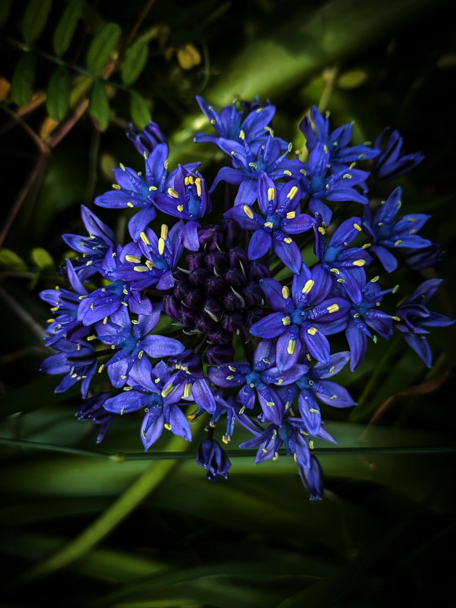 rosary702's tweet image. 他人を尊ばぬは己を貶めるなり

#花テロ