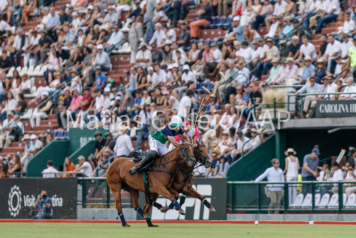 Asoc. Arg. de Polo tweet media