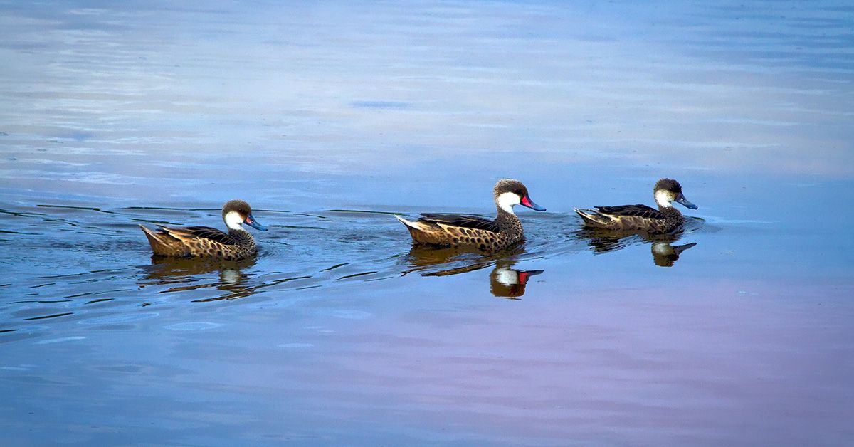 EstherFishmanMS's tweet image. As you approach year-end, consider how strategic tax planning can position you for success in 2026 and beyond. Here are three key questions we can explore together. livesocial.seismic.com/t0Z7gH