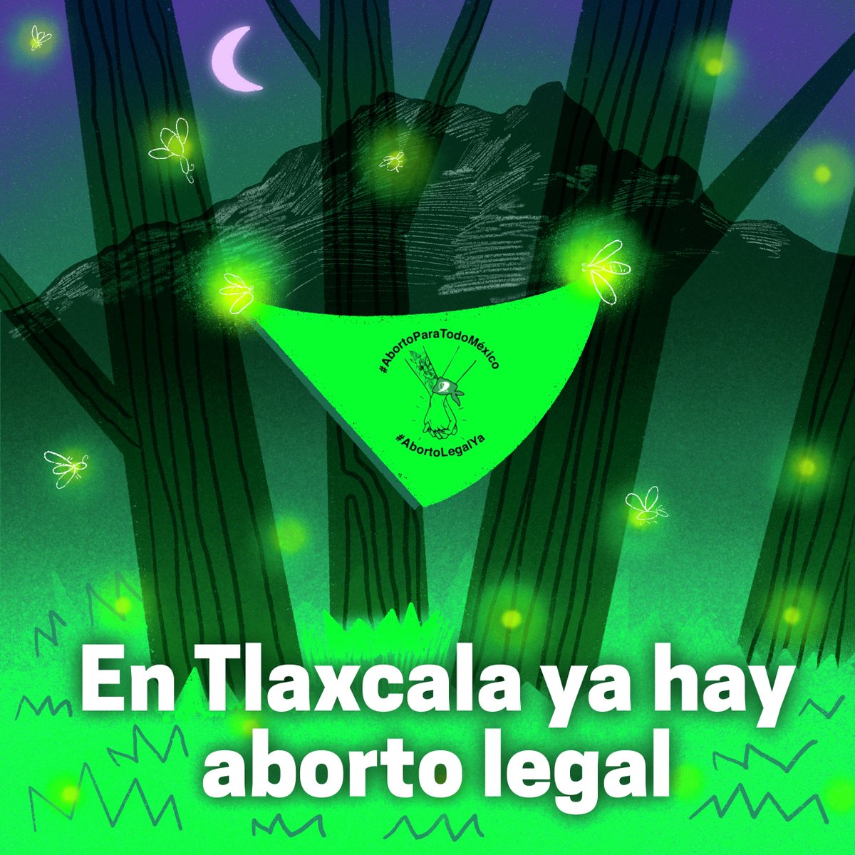 💚✨ Ayer una nueva luz verde se encendió. La <a href="/SCJN/">Suprema Corte</a>  despenalizó el aborto en Tlaxcala, invalidando las leyes que criminalizaban el aborto y eliminando requisitos para acceder en casos de violación.

#AbortoLegalYa #Tlaxcala #MareaVerde