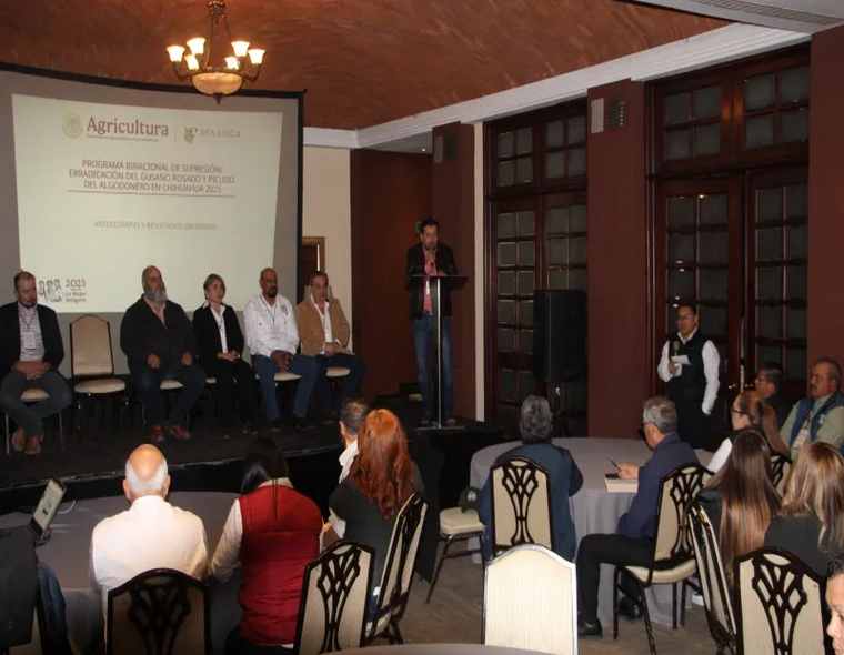 ArribaElCampo's tweet image. Es #Chihuahua sede de la #ReuniónAnual del #Programa #Binacional de #Erradicación del #GusanoRosado y del #PicudoAlgodonero  arribaelcampo.com.mx/es-chihuahua-s…