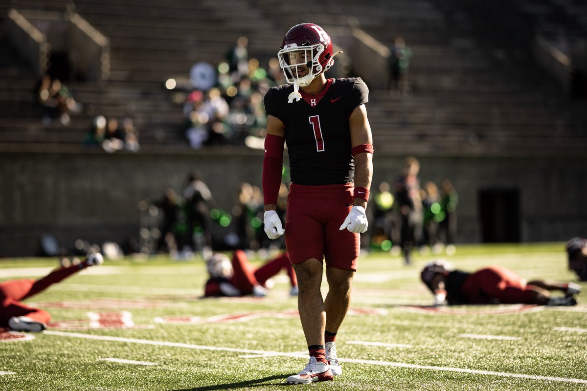 Duke Bradley tweet media