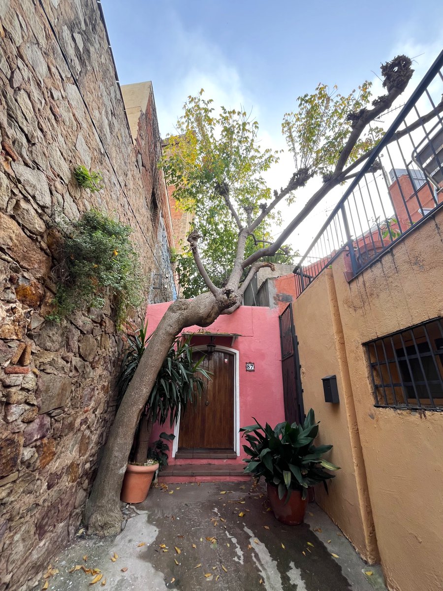 Moure's pel barri de la Satalia és com ser dins d'un conte (passatge antic de València #Poblesec)