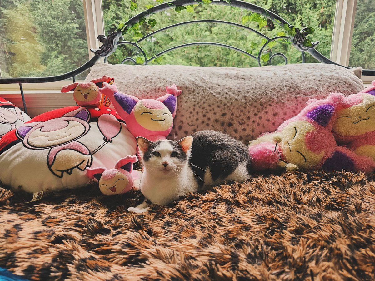 luna 🦋ₓ˚. ୭ tweet media