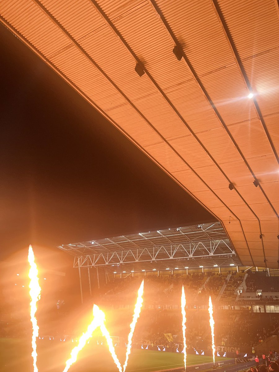 Game no.24: Wolves 0-1 Forest