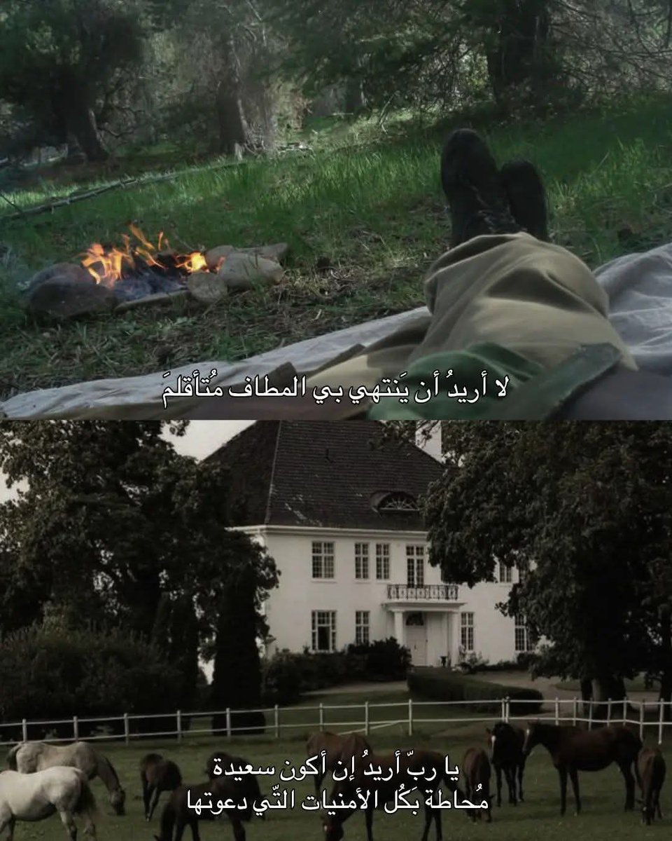 نُسَيبة (@nosaibayoussef) on Twitter photo 