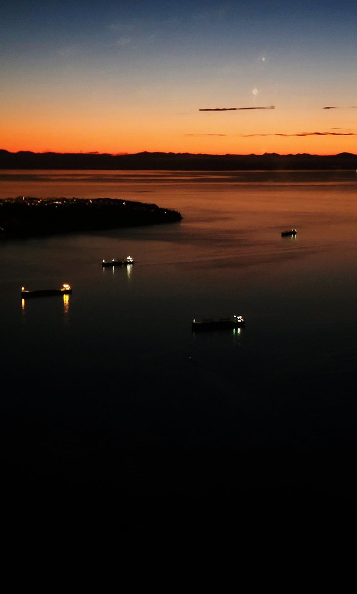 TrafficTrish 🚁 tweet media