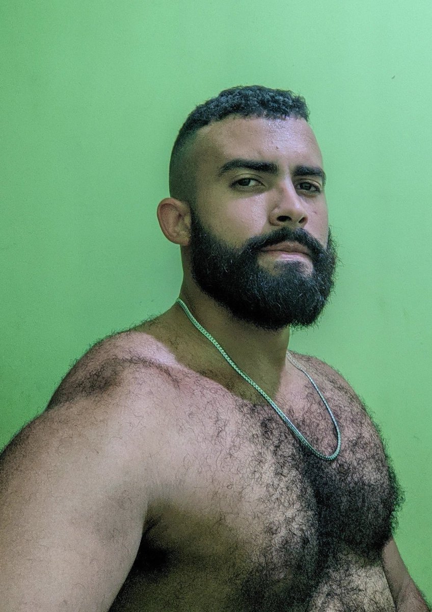 breninho ursinho 🐻💙 jurídico chase infiniti tweet media