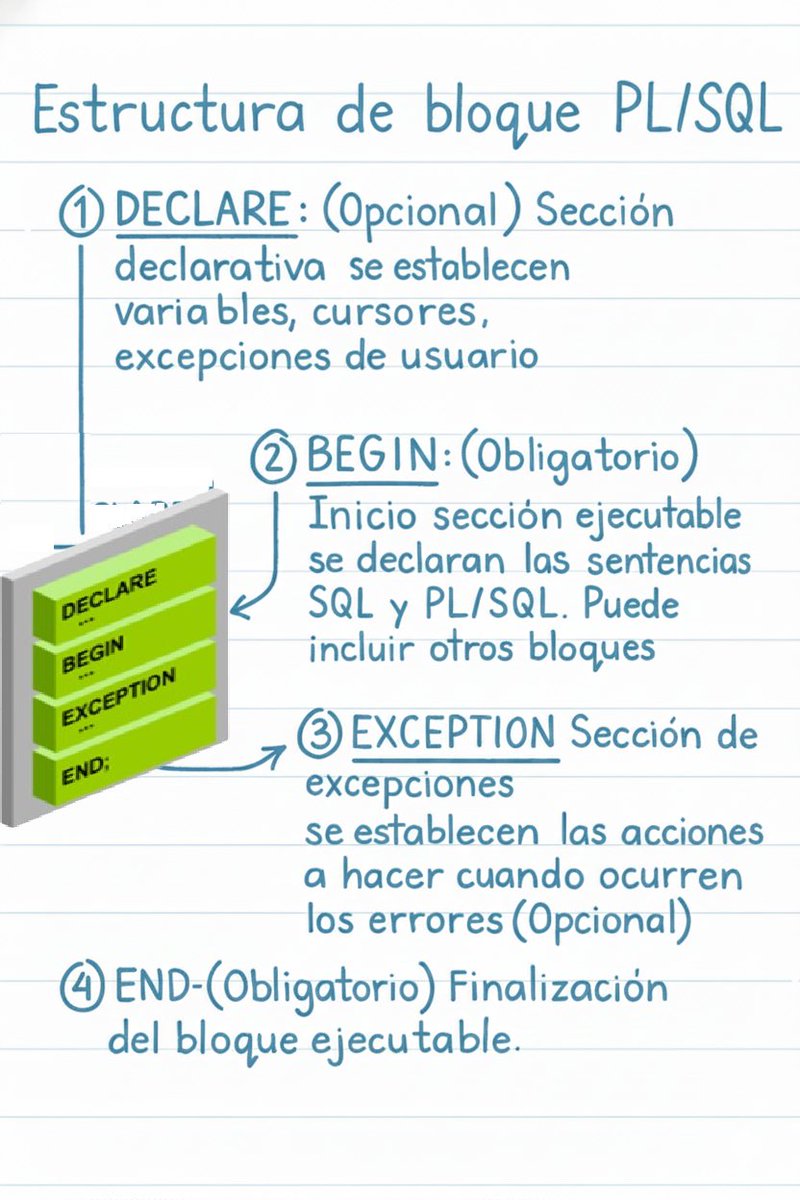 mago30336's tweet image. Descubre la estructura básica de un bloque #PLSQL! 🧩
Un bloque #PLSQL se divide en secciones clave para organizar tu código de forma eficiente.
#Java #Oracle #programacion