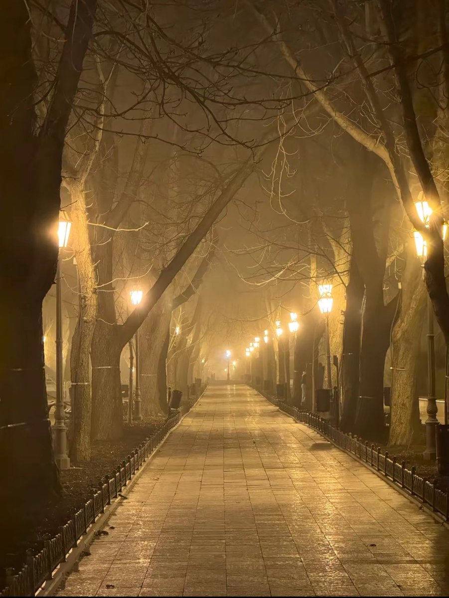 People probably don’t talk about things like this out loud.
But lately it’s been running through my mind more and more.
In Ukraine, there’s a growing conversation about the need to support the arrival of labor migrants —
that it’s one of the few ways to cover the devastating