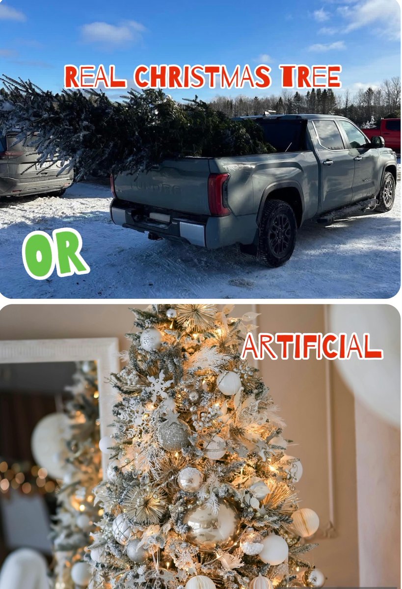🎄 It’s that time of year, Westman!
At Precision Toyota, we’re getting into the holiday spirit and we want to know… Real Christmas tree or Artificial — which team are you on? 🌟
Tell us in the comments! 👇🏻