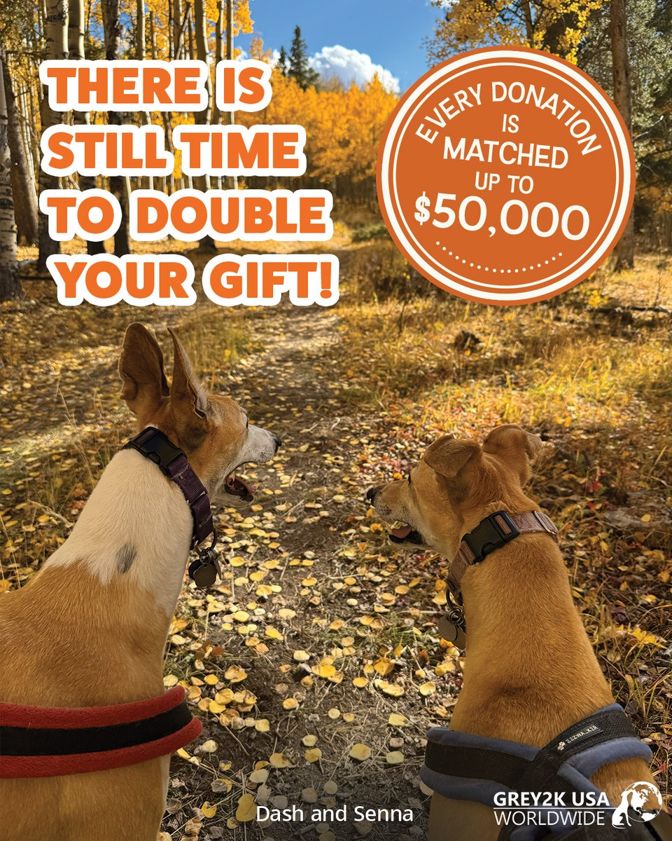 GREY2K USA Worldwide tweet media