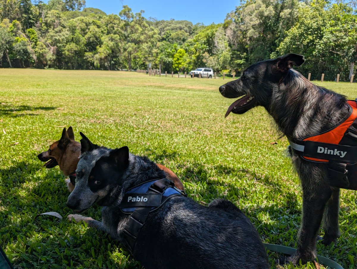 Daisy Smith 🍊 tweet media