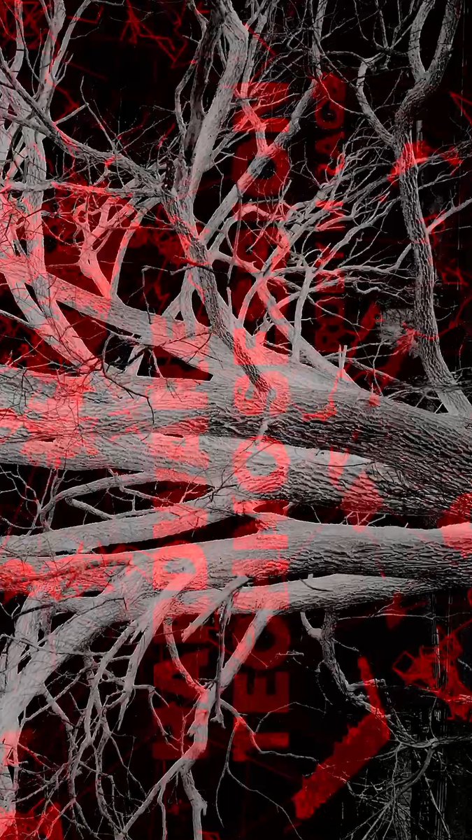 Roby M Rage tweet media