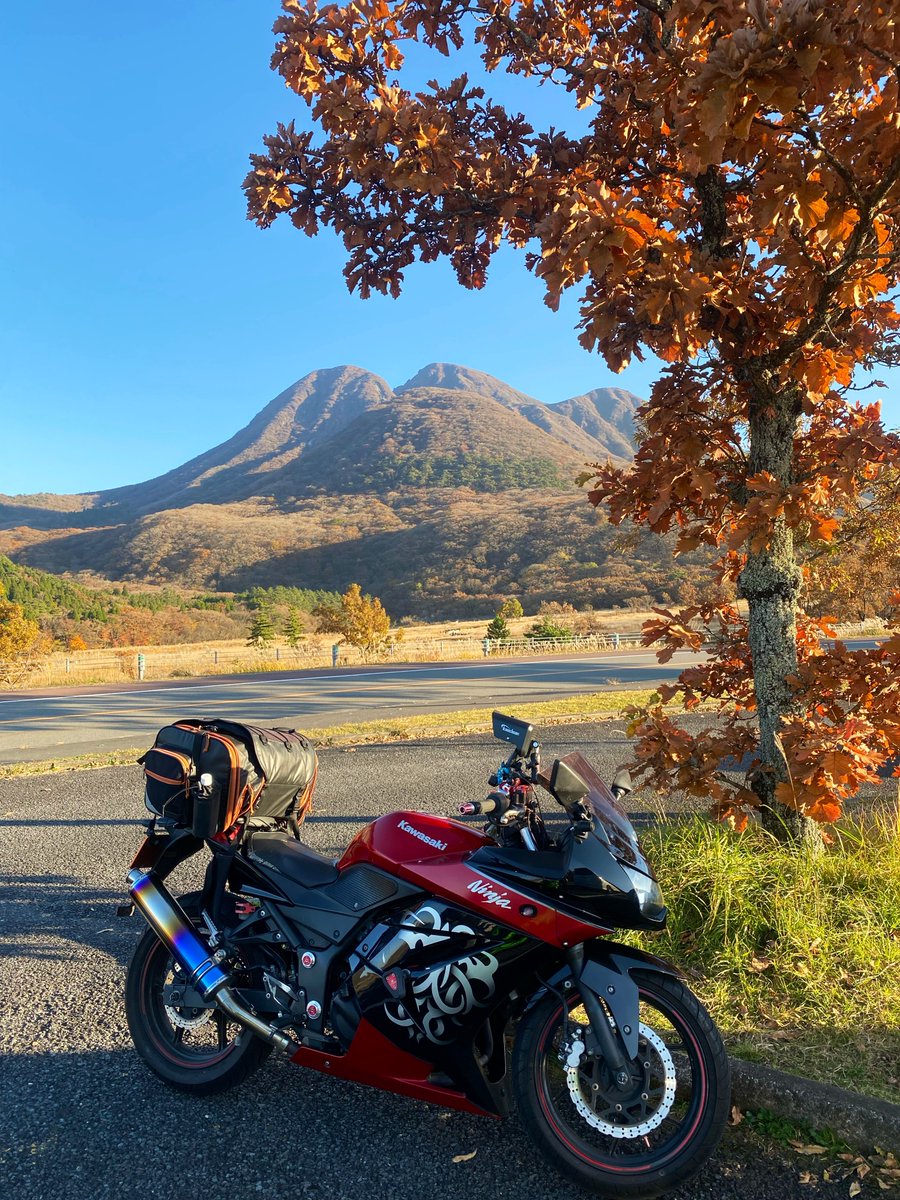 mimi( ◔︎㉦◔︎ ) (@mimi_mimi250) / Posts / X