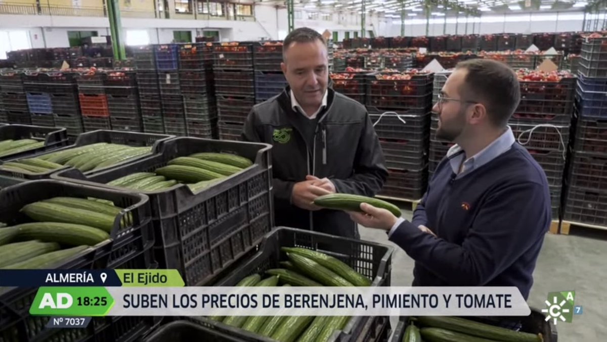 salvarubi99's tweet photo. Ronda del tiempo y reportaje de frutas y hortalizas en AD. 🎥 https://t.co/phdgnf2Pzy