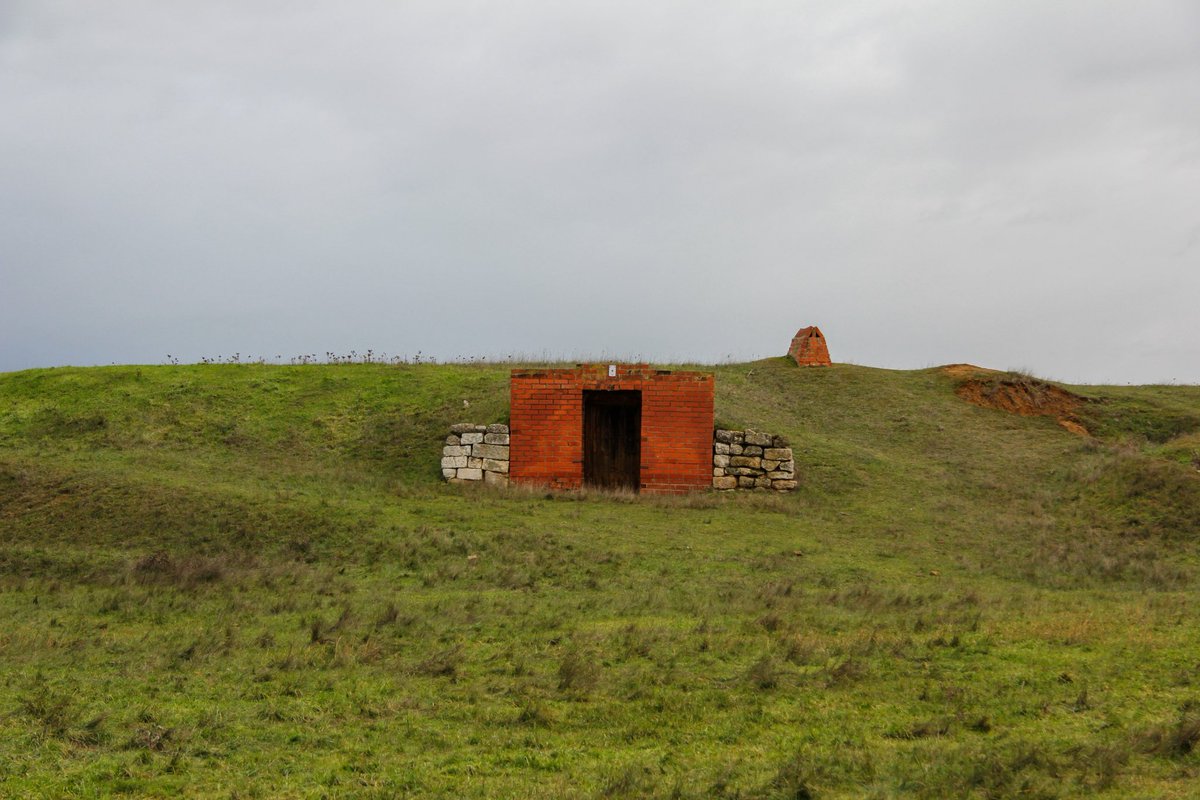 maría 🌾 tweet media