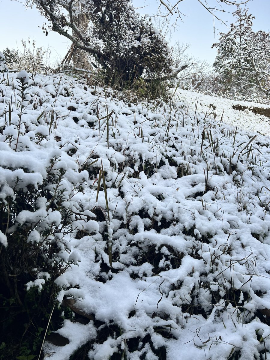 sumis600's tweet image. 寒い🥶