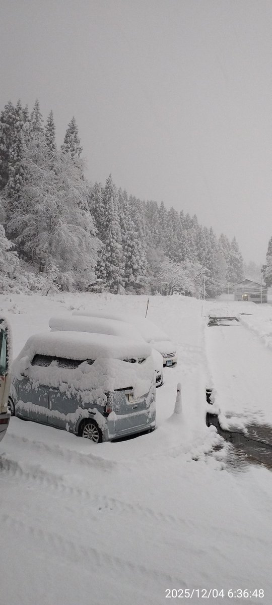 1回目の道路除雪終わりました。
30cm位積もっていますが降り続いているので再度除雪に入ります。
☃☃☃🚜💨😆💪