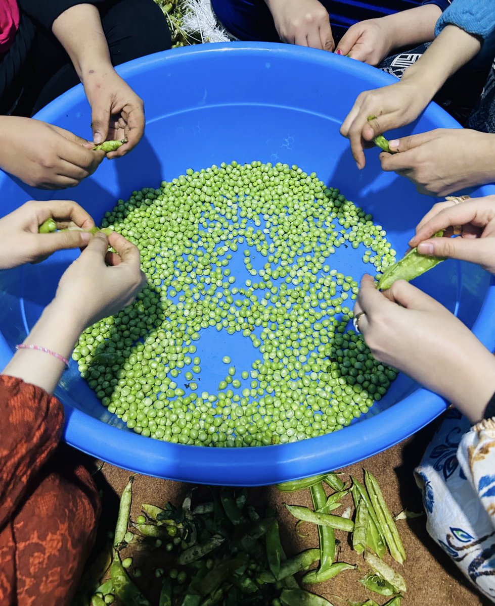 ضحكت عليكي ماما مش ف البيت