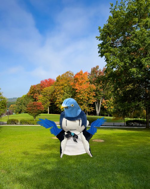 おはよう☀️
年末にAdoちゃんの活動が多くて幸せですね💙
ルルナ初の十戒ライブは最高でした🥹
背景も素敵でしたし
今日も歌で応援を受けながら行ってみます
今日も無理なく行きましょう٩(^‿^)