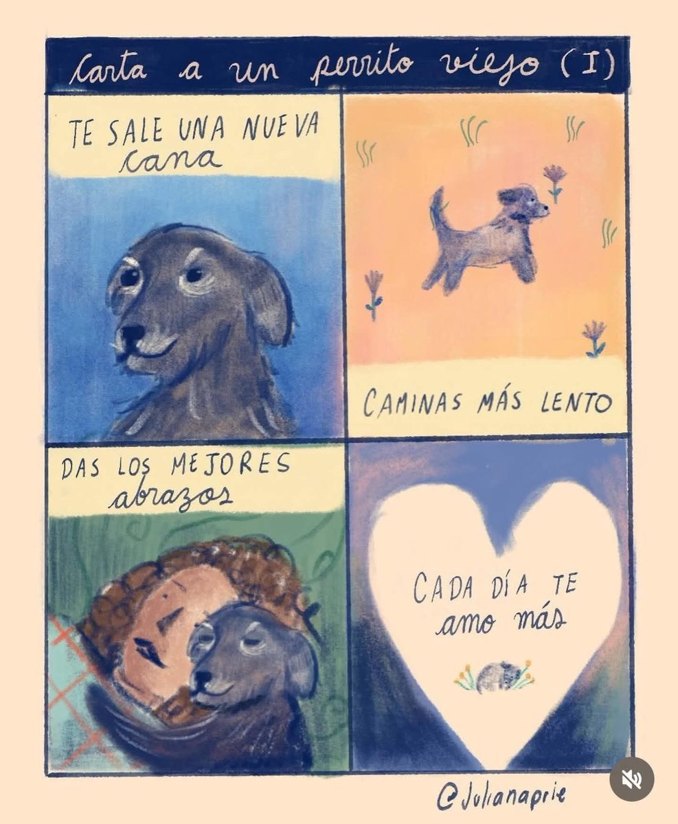 Carta a un perrito viejito🥺