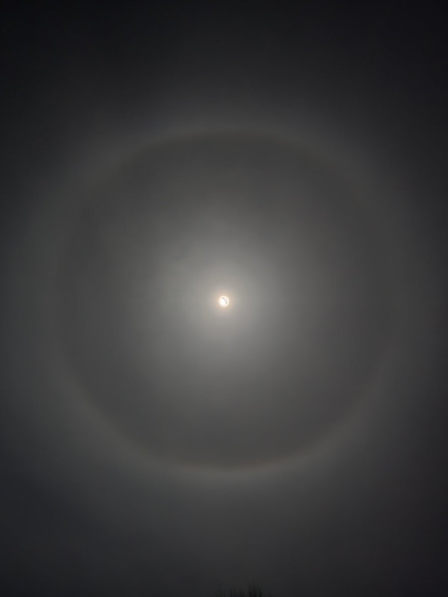 Tom Monksfield tweet media