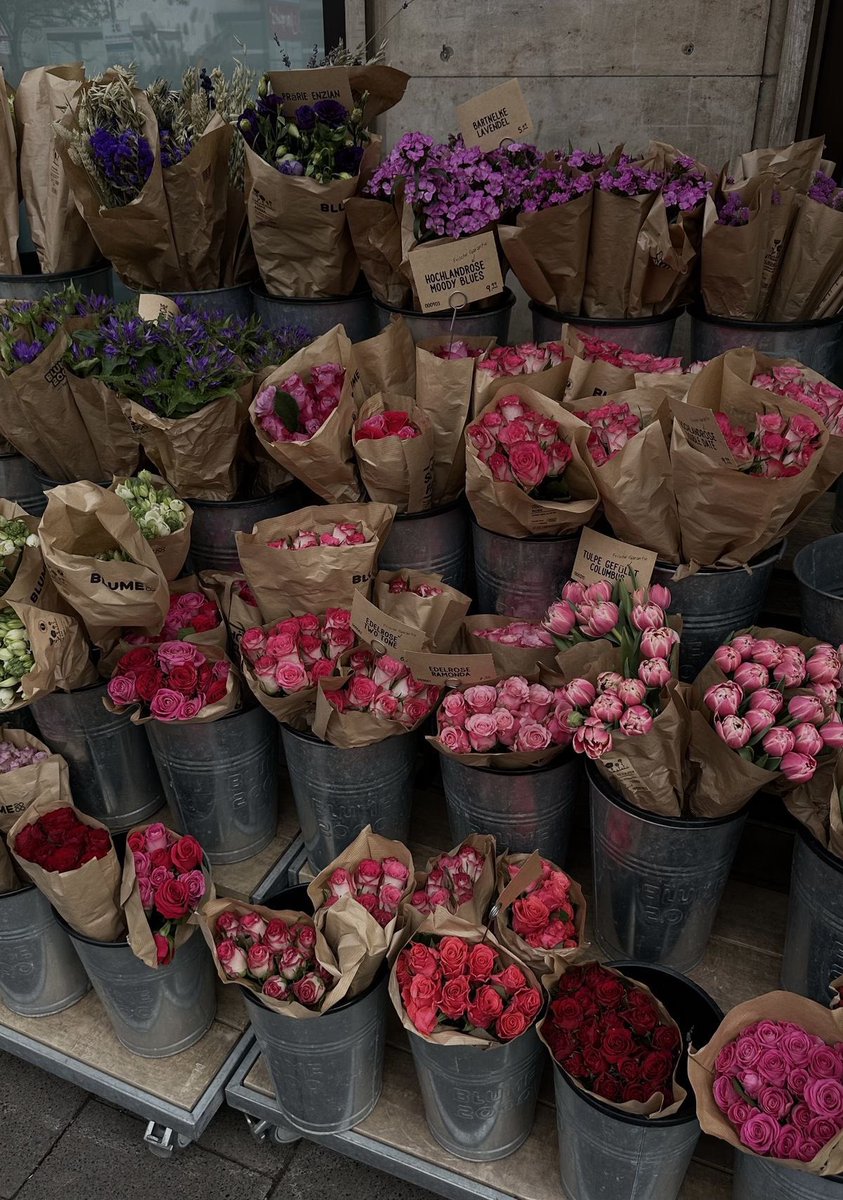 Benim olmasını istediğim ama asla olmayan çiçekler