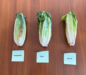robinsnewswire's tweet image. Product Review: Do Produce Bags Really Keep Food Fresh for Longer? I Tested 3 to Find Out: If your produce is spoiling faster than you can eat it, you may want to try storing it… dlvr.it/TPcZJb #ProductReview #FoodStorage #FreshProduce #GroceryTips #SustainableLiving