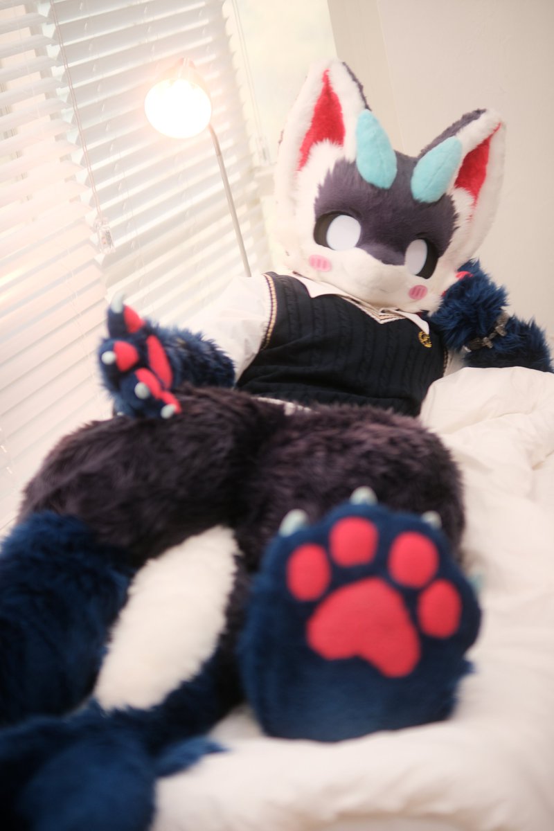 " 추운데 나가지 말자! " 

" 寒いし家でダラダラしよ〜 "

📷BREADRAGON <a href="/Breadragon_P/">BREADRAGON_Photo</a>
 #EVERIU #エブリユー