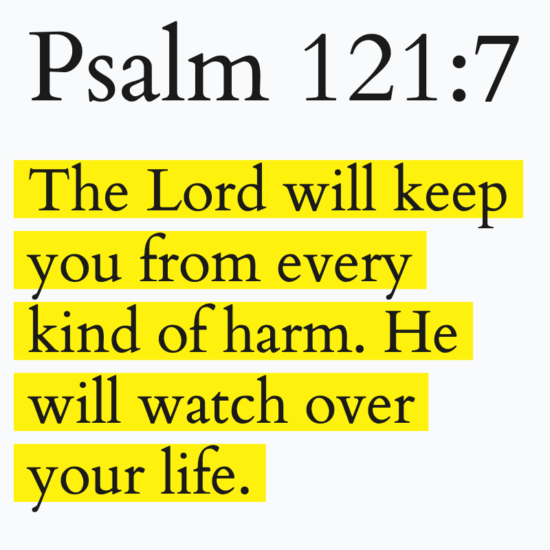 Holy Bible tweet media