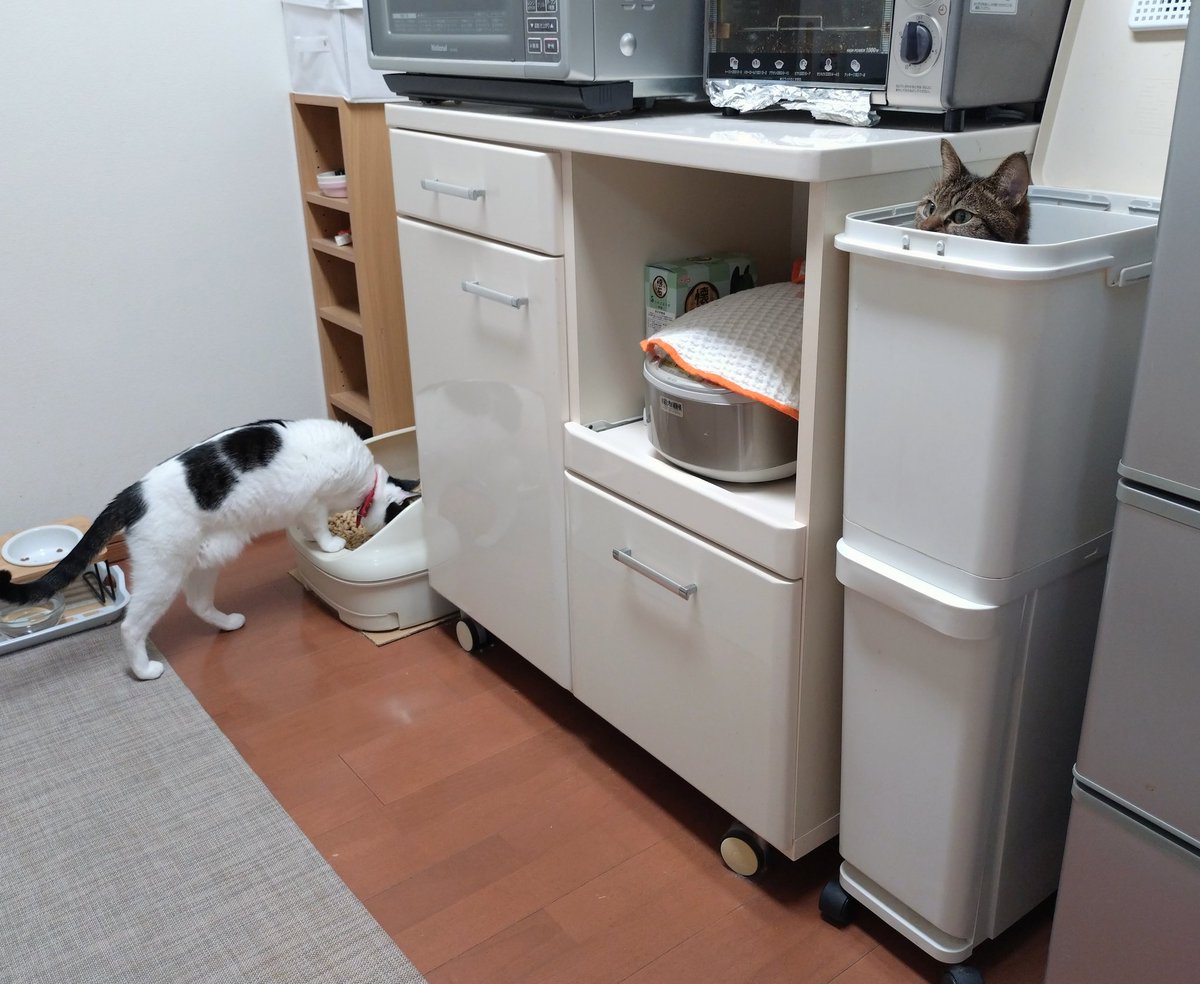 みぃ (@Js4zeKqmJxbnVBS) / Posts / X