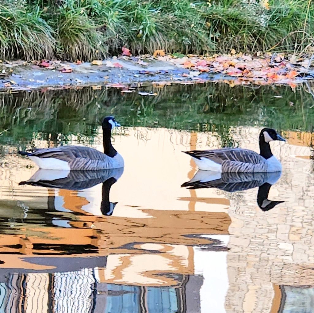 Jules_Atkinson's tweet image. Today's photo theme is: Floating...
#Floating