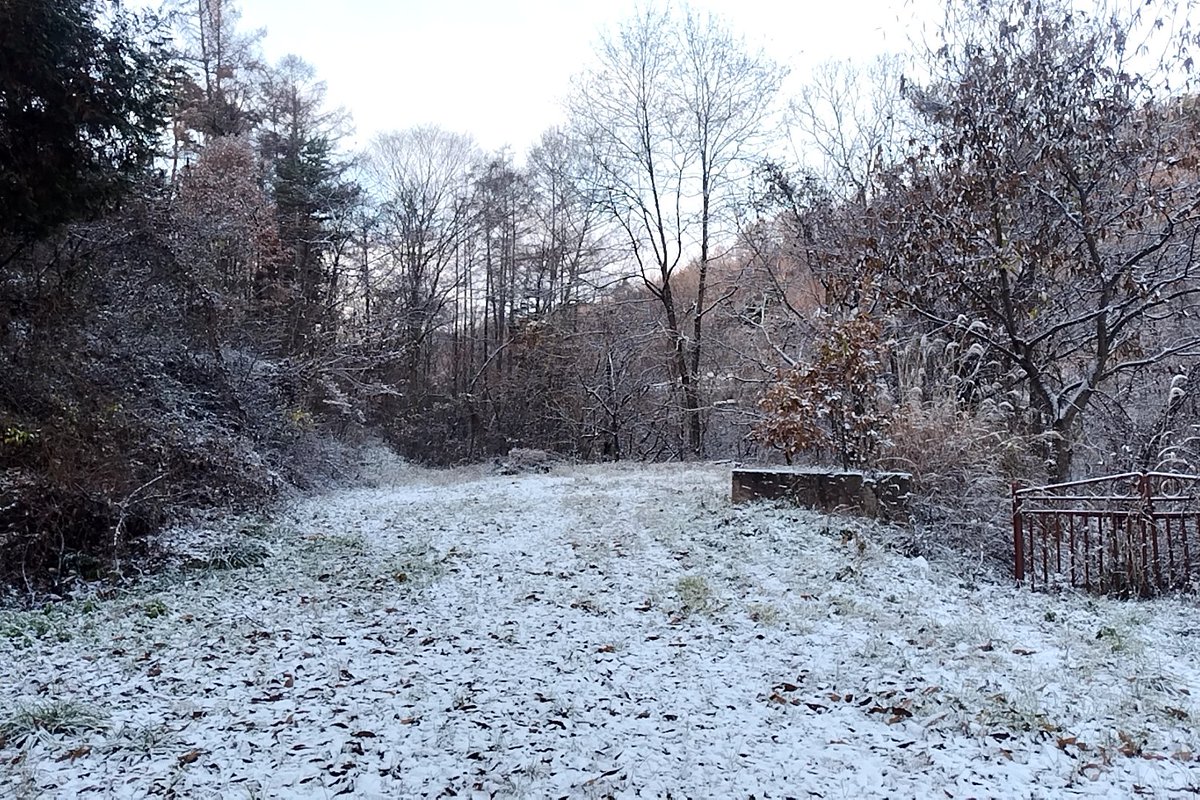 秋もあっと言う間に終わり……冬ですなぁ……☃️

やっぱ雪降ってくれた方が逆に暖かく感じる。