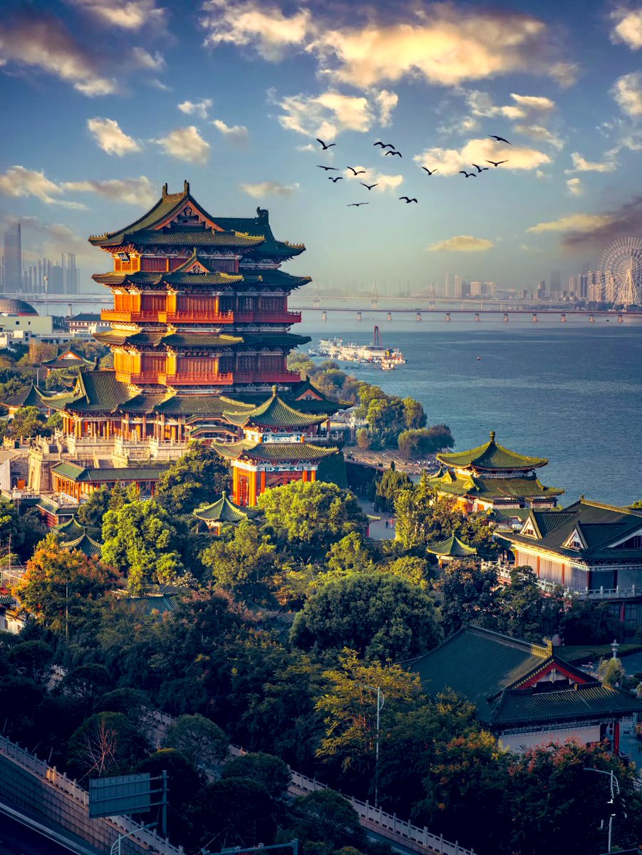 心心（Liu Yu） tweet media