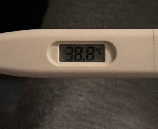 freerosito__'s tweet photo. chavales estoy embarazada 🥰🥰🥰 https://t.co/dpeaxCBvJd