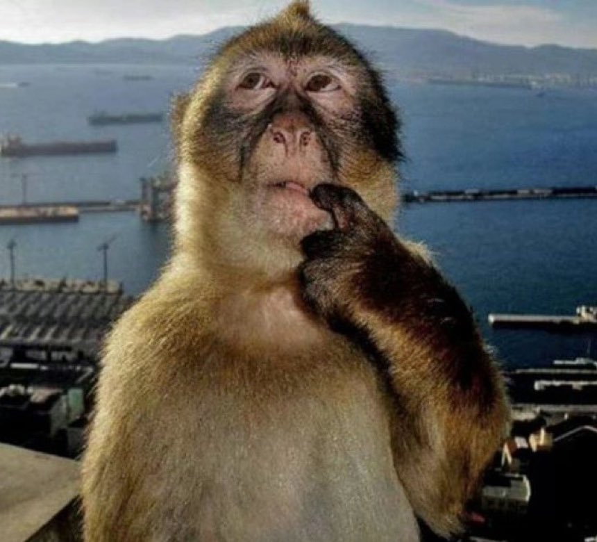 dishnsty's tweet image. 