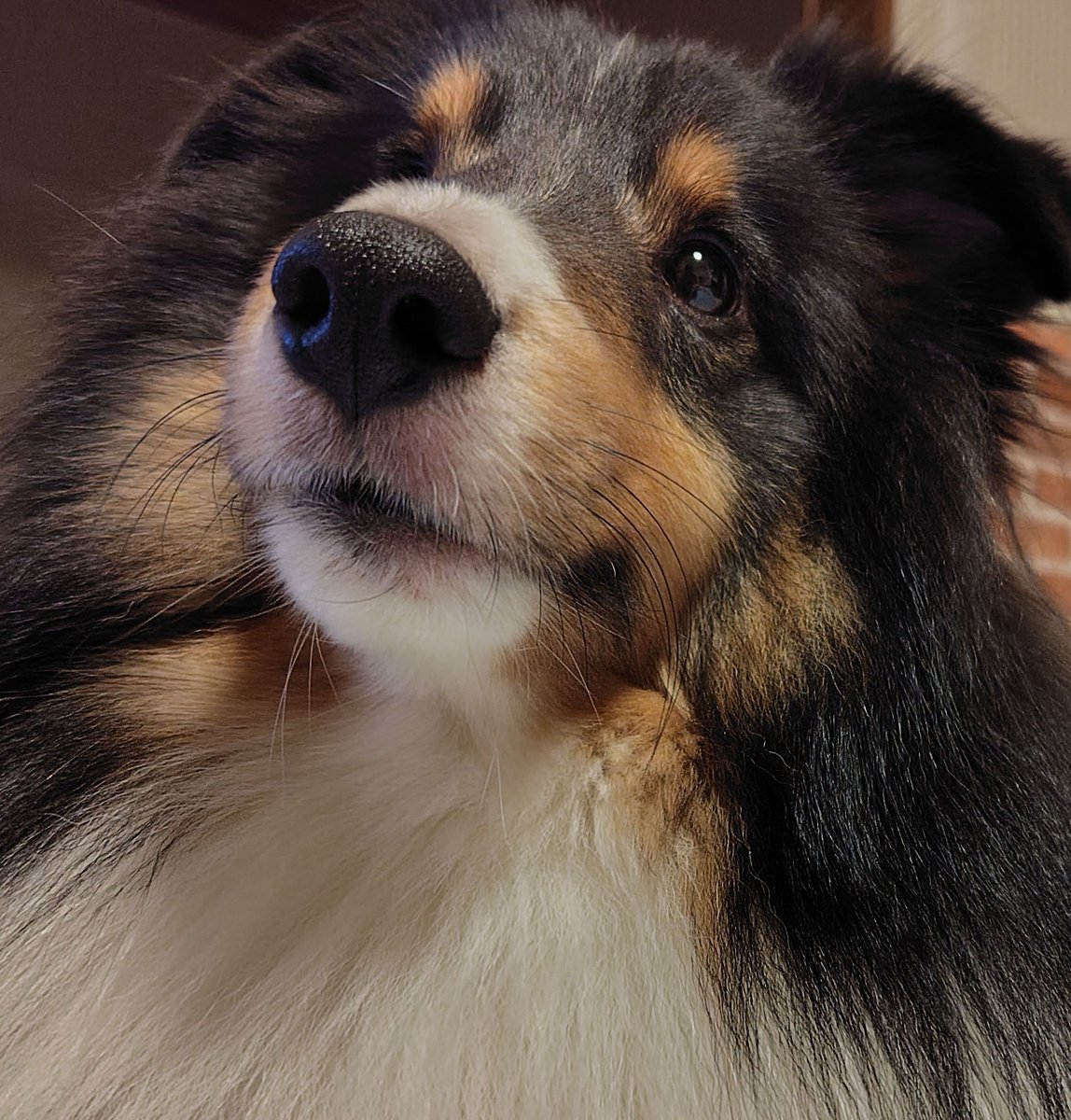 🐶「なぁに〜？♥️」