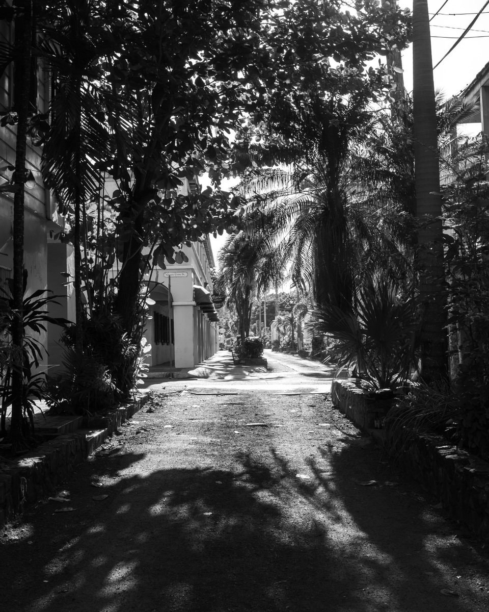 Visit USVI – U.S. Virgin Islands Dept. of Tourism tweet media