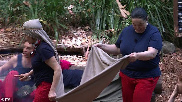 Addie Anderson tweet media