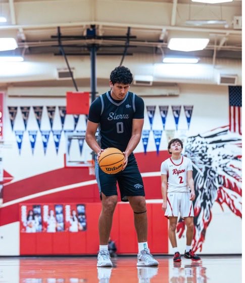 AJ Chapman tweet media