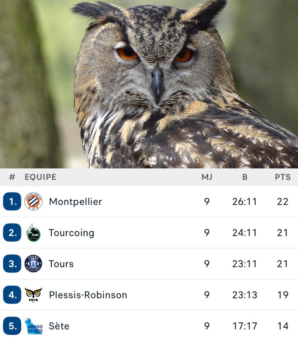 VolleyActu's tweet photo. Après 9 journées, les Hiboux figurent dans le TOP 4 de la Marmara SpikeLigue, avec déjà 5 points d’avance sur le cinquième 😳

#MSL https://t.co/Cnjo2mrrJA