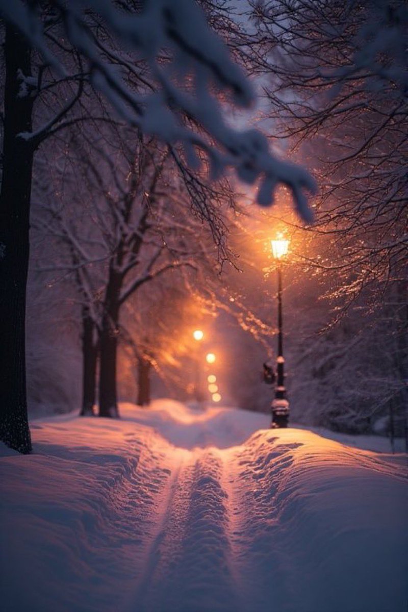 batake24455654's tweet image. おはよう ☀️3℃

現場到着！
今日も皆さんヨロシクです😉
一日ご安全に！🫡