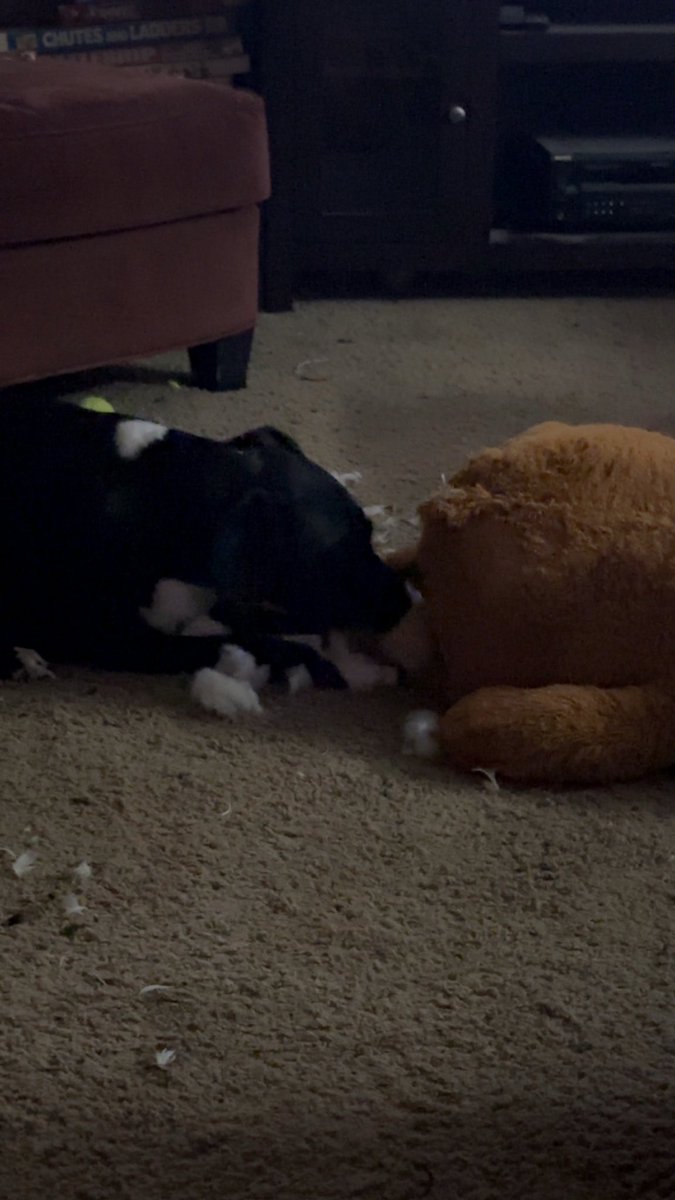 Bethany Rae tweet media