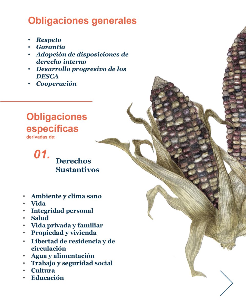 CorteIDH's tweet photo. 🌎 Obligaciones de los Estados en la OC-32/25

La Opinión Consultiva 32 de 2025 sobre Emergencia Climática y Derechos Humanos establece las obligaciones generales y específicas que los Estados deben cumplir frente a la crisis climática.

El Tribunal desarrolló deberes de respeto, garantía, cooperación y desarrollo progresivo, además de obligaciones derivadas de derechos sustantivos, procedimentales y de protección reforzada para grupos en situación de vulnerabilidad.

🔗 Infórmate sobre todas las obligaciones estatales reconocidas en la OC-32/25 en nuestro micrositio: https://t.co/zitrzJFHzA

Esta pieza fue elaborada con el apoyo de la Agencia Suiza para el Desarrollo y la Cooperación (COSUDE).

#CorteIDH
#DerechosHumanos
#EmergenciaClimática