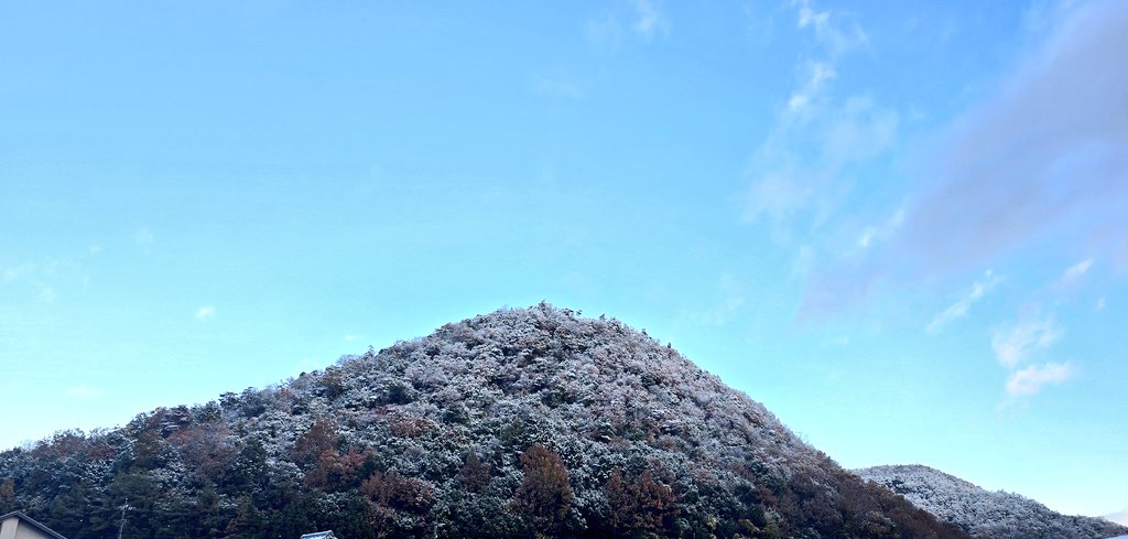 初雪だ〜❄❄